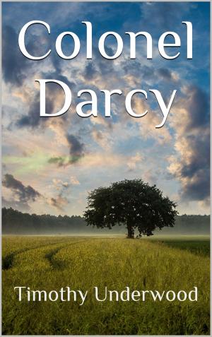 Cover of the book Colonel Darcy by D.L. Snow