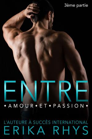 Book cover of Entre amour et passion 3