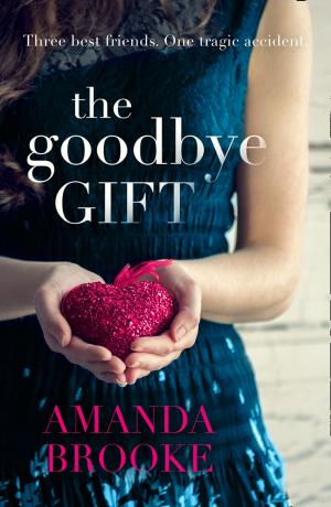 Cover of the book The Goodbye Gift by Aimee Duffy