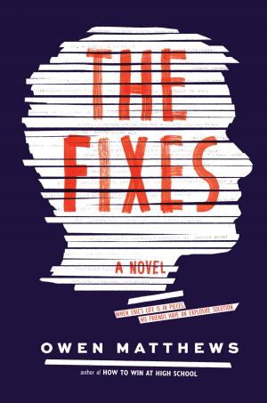 Cover of the book The Fixes by Rachel Hawthorne