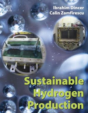 Cover of the book Sustainable Hydrogen Production by Masayasu Ohtsu