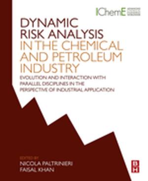 Cover of the book Dynamic Risk Analysis in the Chemical and Petroleum Industry by H.T. Tien †, A. Ottova-Leitmannova