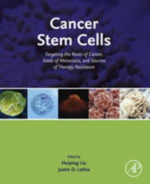 Cover of the book Cancer Stem Cells by Satoru Fujishige