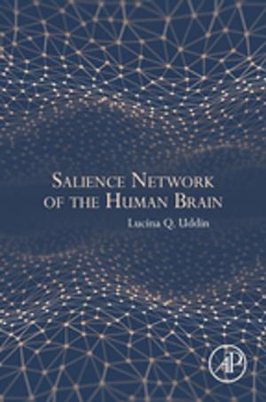 Cover of the book Salience Network of the Human Brain by Awanish Kumar