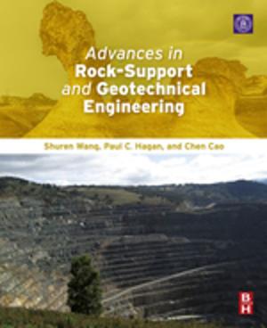 Cover of the book Advances in Rock-Support and Geotechnical Engineering by Andreas Zeller