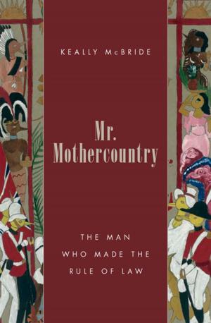 Book cover of Mr. Mothercountry