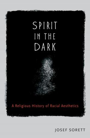 Cover of the book Spirit in the Dark by David Schenck, Larry Churchill