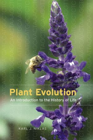 Cover of the book Plant Evolution by Amy E. Lerman