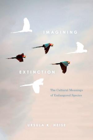 Cover of the book Imagining Extinction by Bob Gluck