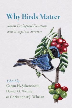 Cover of the book Why Birds Matter by N. Katherine Hayles