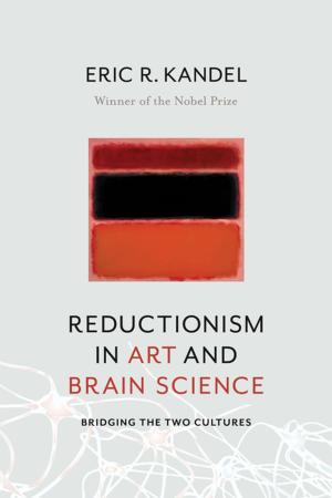 Cover of Reductionism in Art and Brain Science