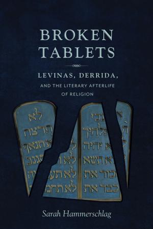 Cover of the book Broken Tablets by Anna Peterson