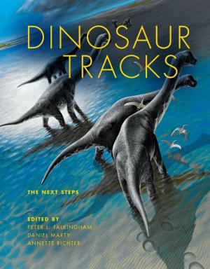 Cover of the book Dinosaur Tracks by Isa Vald