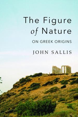 Cover of the book The Figure of Nature by Joseph Klaits
