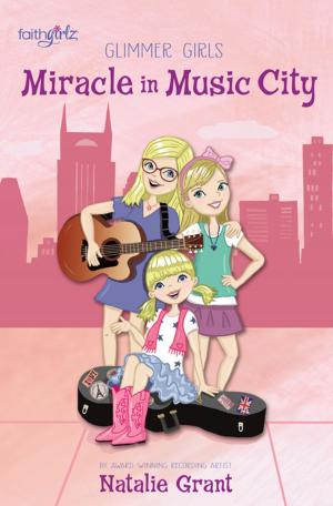 Cover of the book Miracle in Music City by Robin Schmitt