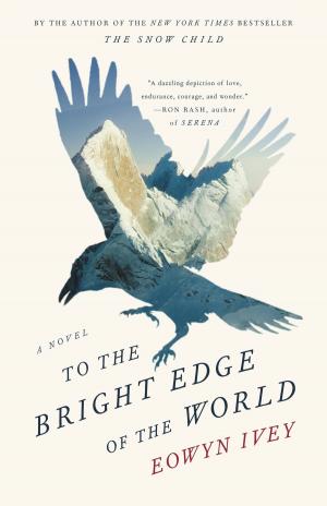 Cover of the book To the Bright Edge of the World by Margaret Leroy