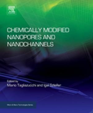 Cover of the book Chemically Modified Nanopores and Nanochannels by E. Waldo Cohn, Kivie Moldave