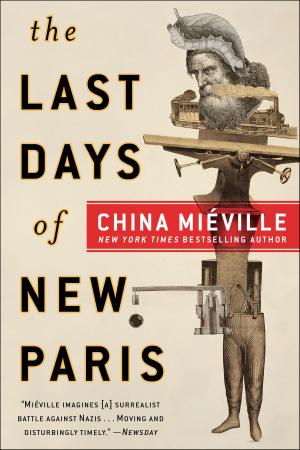 Cover of the book The Last Days of New Paris by D. G.  Novak