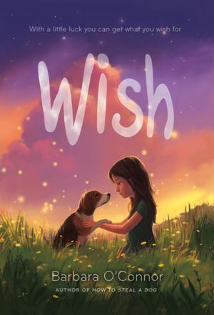 Cover of the book Wish by Delphine Minoui