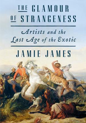 Book cover of The Glamour of Strangeness