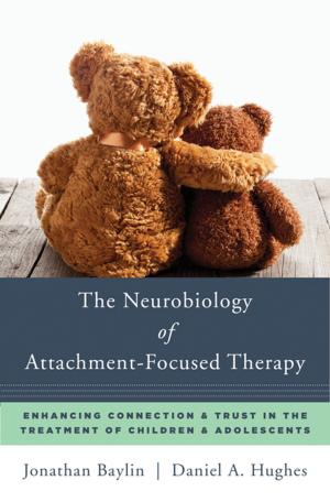 bigCover of the book The Neurobiology of Attachment-Focused Therapy: Enhancing Connection & Trust in the Treatment of Children & Adolescents (Norton Series on Interpersonal Neurobiology) by 