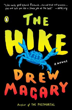 Cover of the book The Hike by Raj Mirages