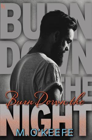 Cover of the book Burn Down the Night by K. Lyn Kennedy