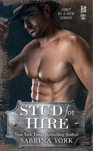 Cover of the book Stud for Hire by Monica Botha