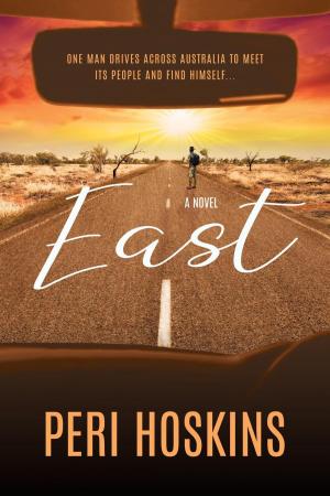 bigCover of the book East - A Novel by 
