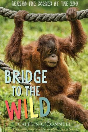Book cover of Bridge to the Wild