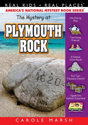 Cover of the book Mystery at Plymouth Rock by Carole Marsh