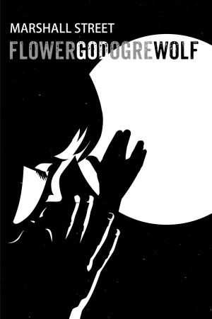 bigCover of the book FLOWER GOD OGRE WOLF by 
