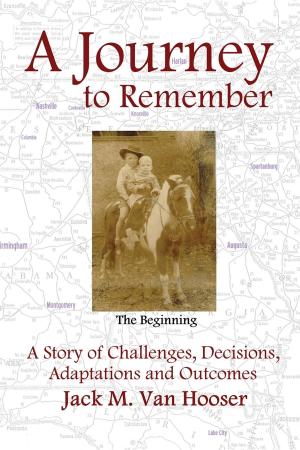 Book cover of A Journey to Remember