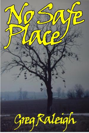 Cover of the book No Safe Place by C.R. Martínez
