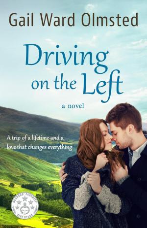 Cover of the book Driving on the Left by Sarah Miller