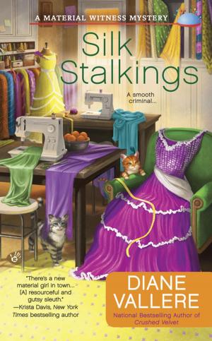 Cover of the book Silk Stalkings by Bennett Coffey, Kyleen Keenan
