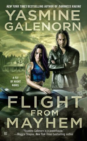 Cover of the book Flight from Mayhem by Kelly Jones