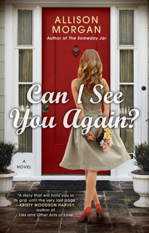 Cover of the book Can I See You Again? by Sarah Turnbull
