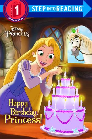 bigCover of the book Happy Birthday, Princess! (Disney Princess) by 