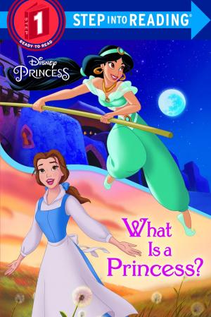 Book cover of What Is a Princess? (Disney Princess)
