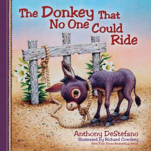 Cover of the book The Donkey That No One Could Ride by Mary Ellis