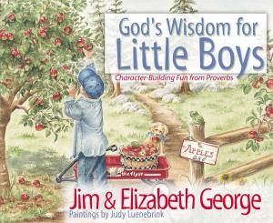 Cover of the book God's Wisdom for Little Boys by Bob Phillips
