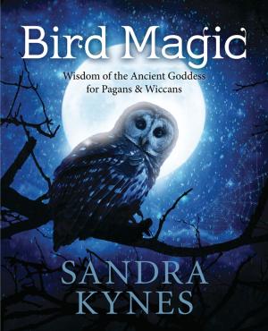 Cover of the book Bird Magic by Anodea Judith, PhD
