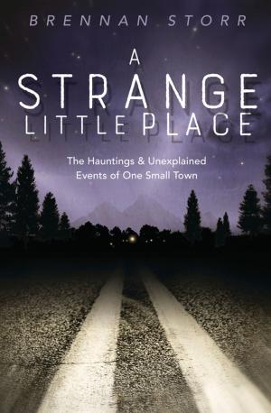 Cover of the book A Strange Little Place by Pauline Campanelli, Dan Campanelli