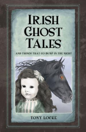 Cover of the book Irish Ghost Tales by John Van der Kiste