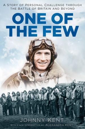 Cover of the book One of the Few by Alan Pilbeam