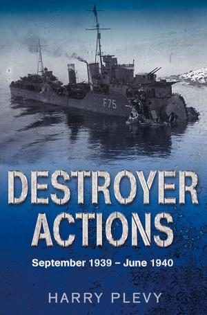 Cover of the book Destroyer Actions by Stephen Wade