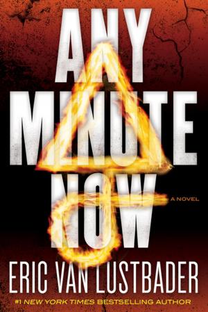 Cover of the book Any Minute Now by Andrew Neil Gray, J.S. Herbison