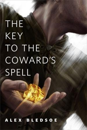 Cover of the book The Key to the Coward's Spell by William Martin