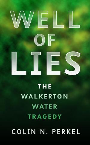bigCover of the book Well of Lies by 